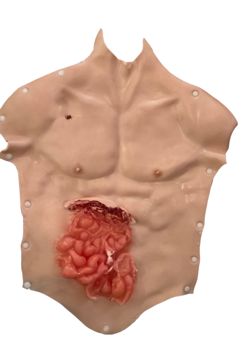 Evisceration BUSTES SILICONE