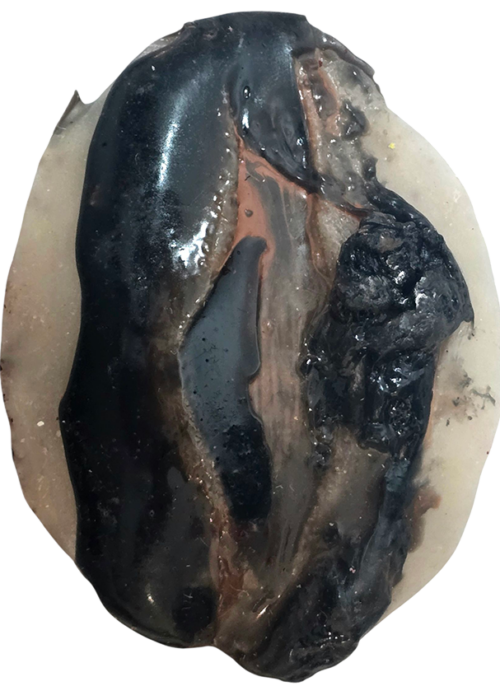 Escarre