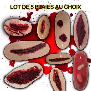 Lot 5 plaies